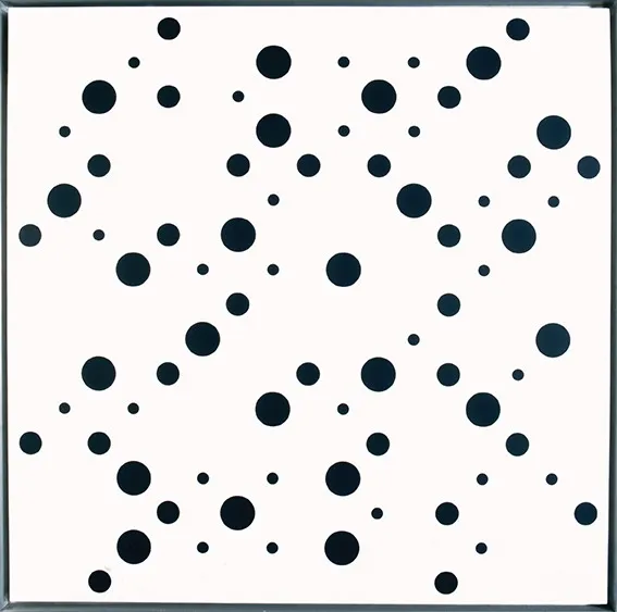 Bridget Riley White Discs