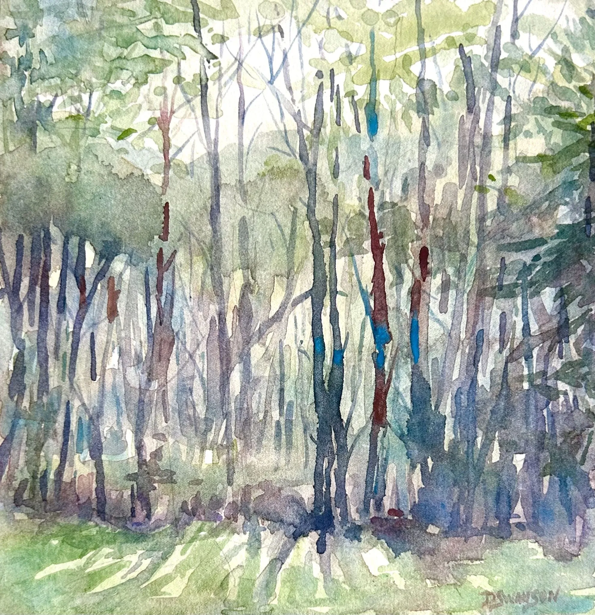 Morning in the Forest