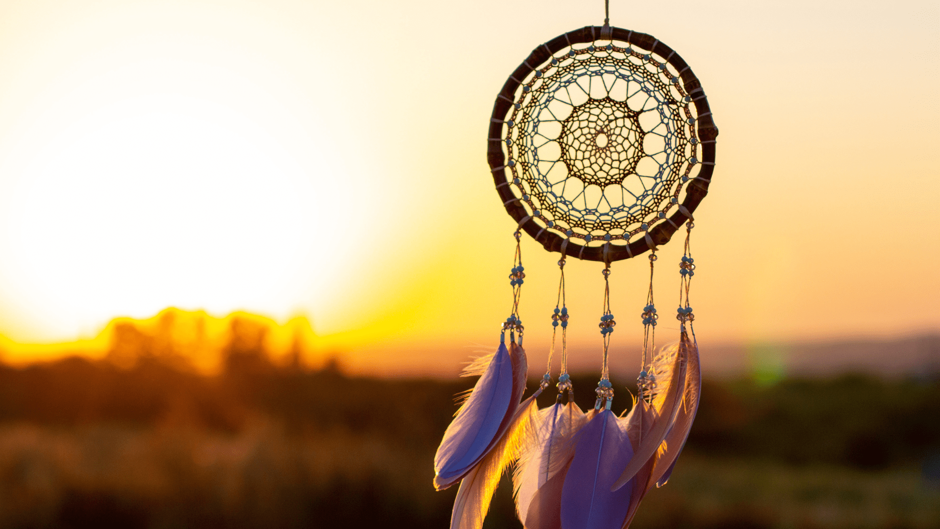 Family Sundays: Fall Leaf Suncatcher