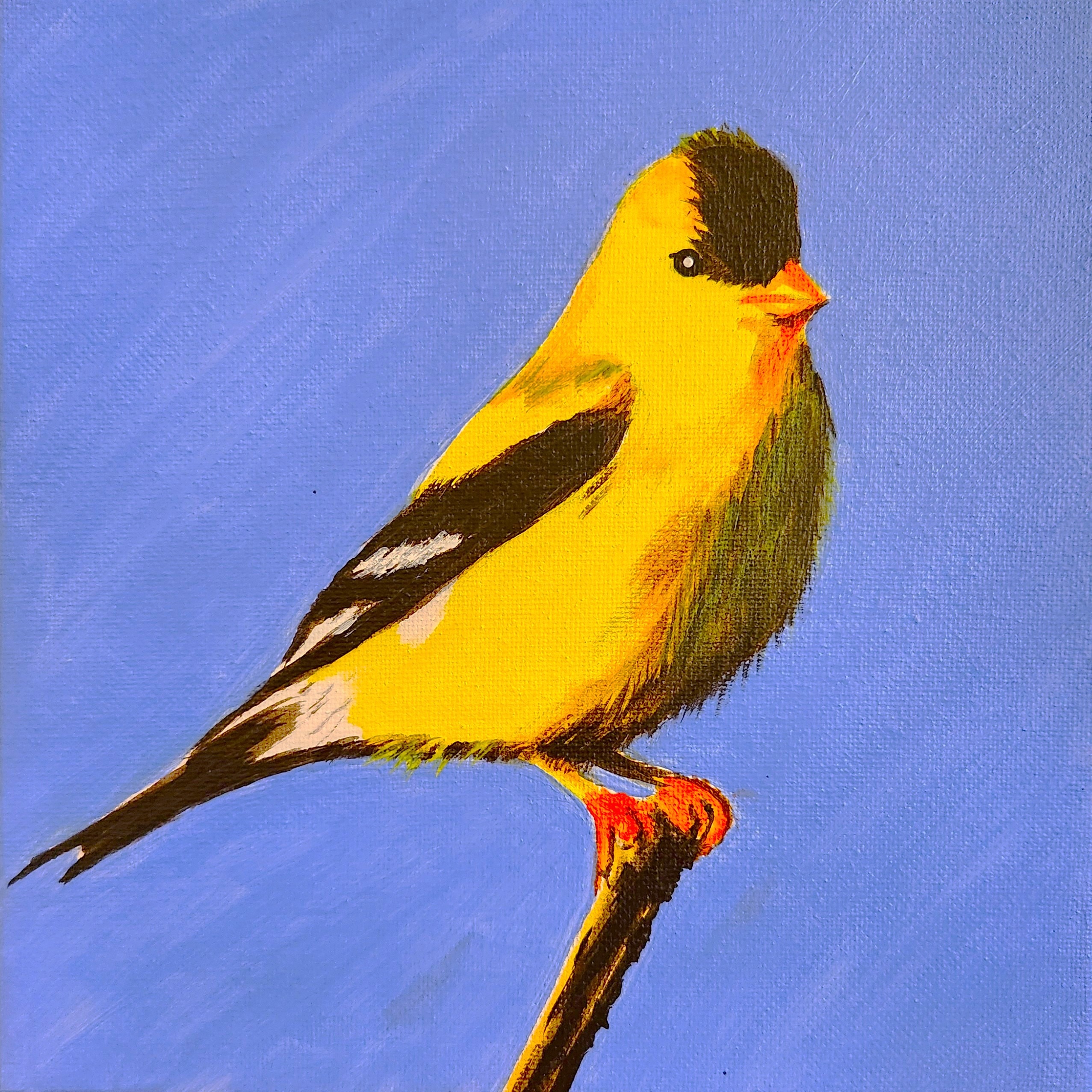 Painting with Patrice: American Goldfinch