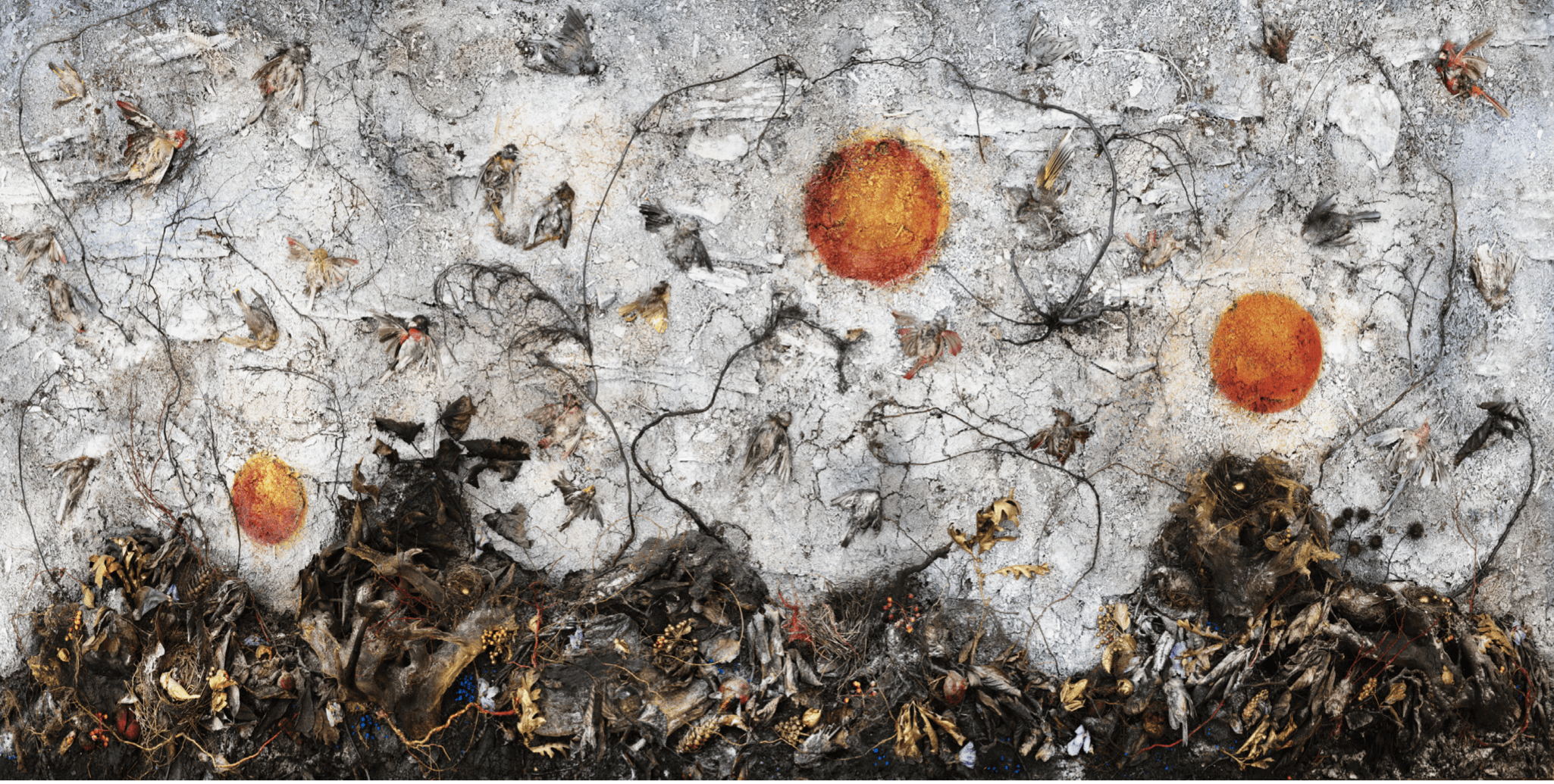 Tanya Marcuse: Book of Miracles