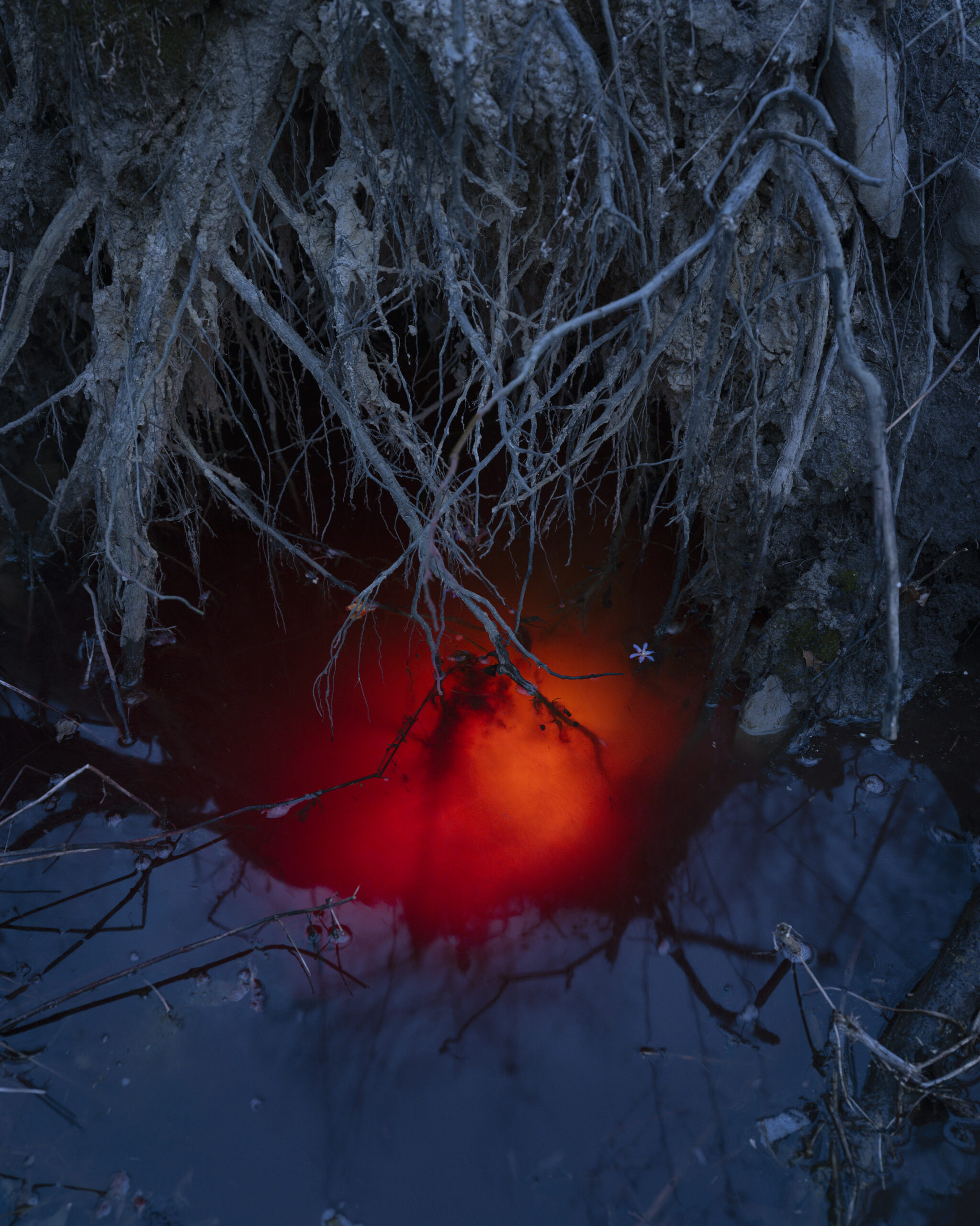 Art After Hours | Member Mixer | Artist Talk with Tanya Marcuse